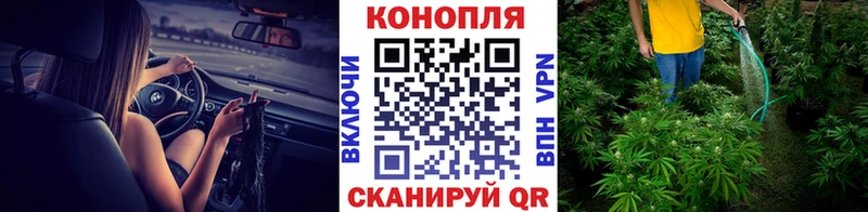 Где можно купить наркотики Сурск Кокаин Канабис Меф Alpha-PVP Гашиш