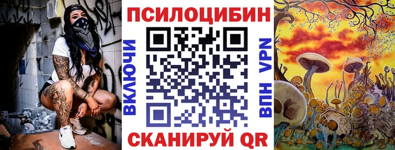 купить наркотики сайты  Сурск  Галлюциногенные грибы MAGIC MUSHROOMS 